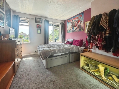 Picture 11
